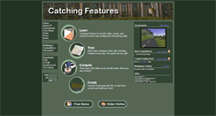 Desktop Screenshot of catchingfeatures.com